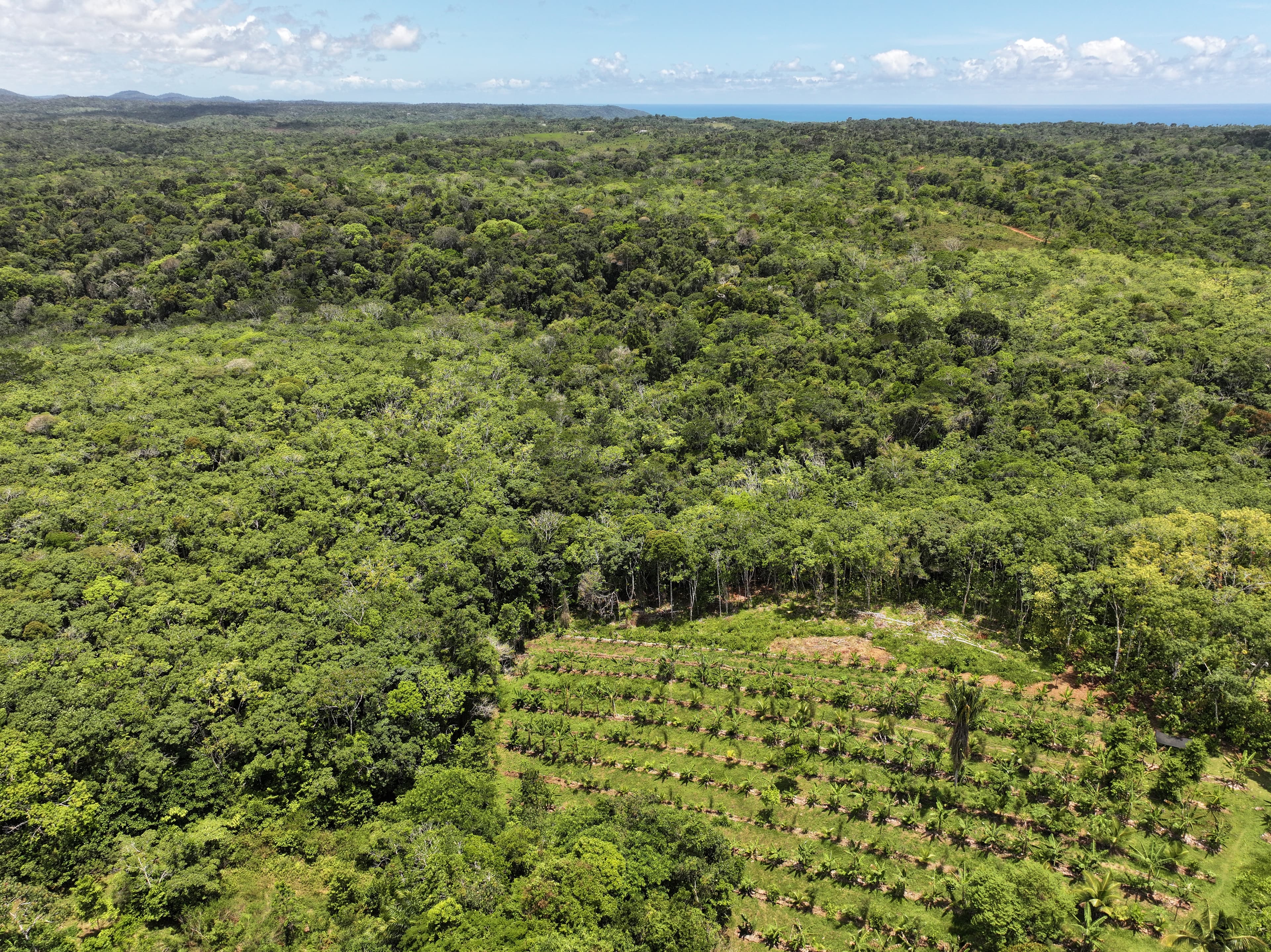 Aerial view of Fazenda ALUME between Atlantic Forest and the coast of Bahia