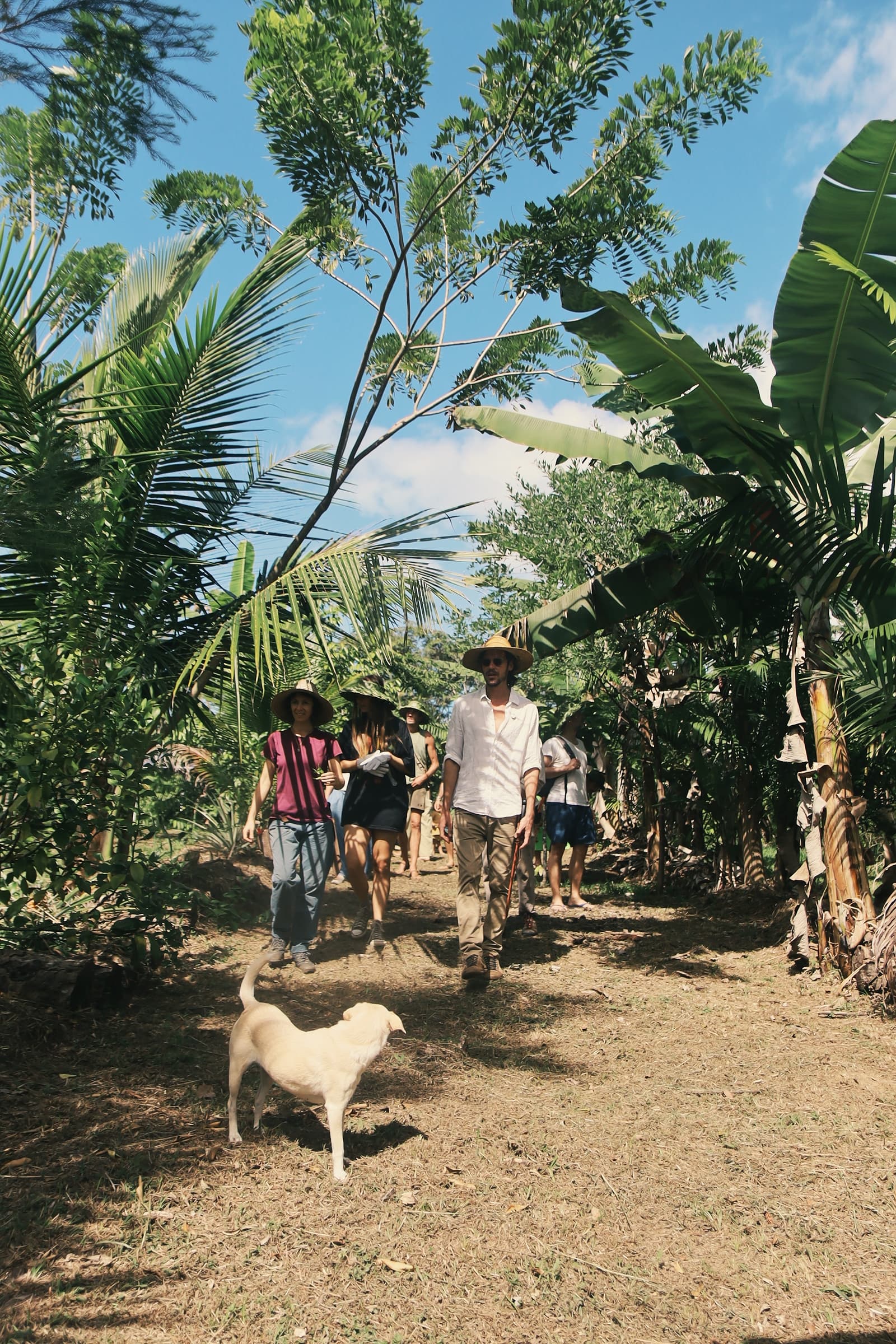 Corporate team participating in environmental action at ALUME