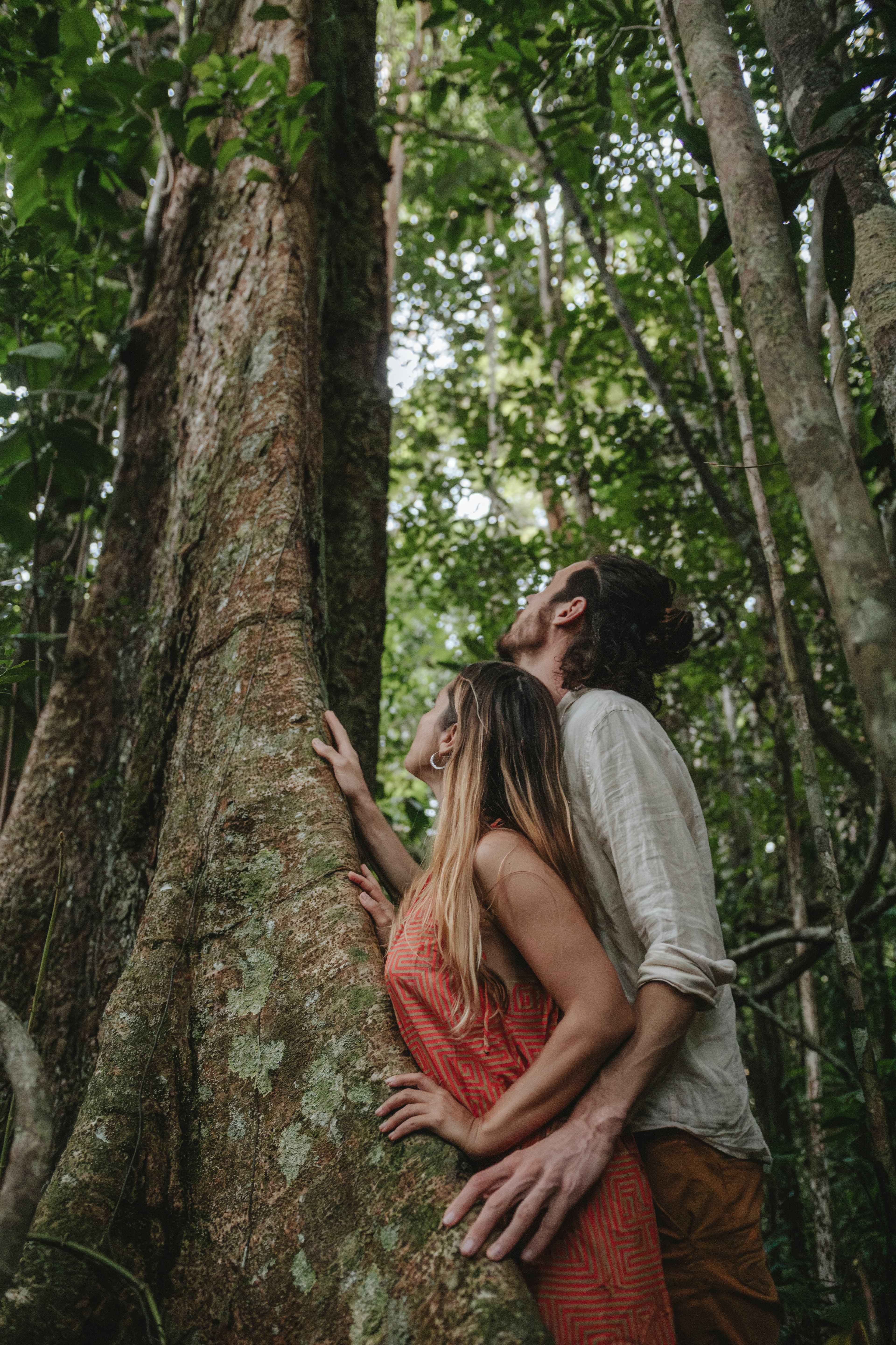 Atlantic Forest restoration at Fazenda ALUME